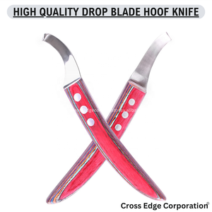 Tools for farriers Horse Stainless Steel Hoof Knife Loop Oval Farrier Equine Sharp Blade wooden handle strong hold durable - Product Image 2