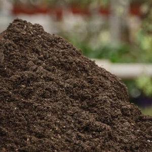 Proveedor Indio de Polvo de Estiércol de Vaca Orgánico Puro, Abono Procesado para Agricultura, Crecimiento de Plantas, Acondicionamiento del Suelo, Comercio al por Mayor, 99% de Pureza - Product Image 2