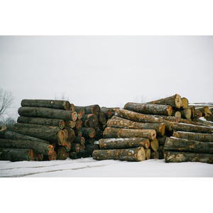Bûches de bois dur de qualité industrielle, plaquettes de bois dur, bois durable, idéal pour la fabrication, la menuiserie et le traitement du bois - Product Image 2
