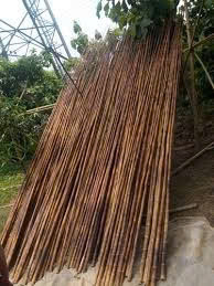 Tonkin Wholesale Bamboo Raw Materials <b>Garden</b> Plant Support Bamboo Stakes <b>Poles</b> Hand Straight 7 Year Shelf Life - Product Image 5