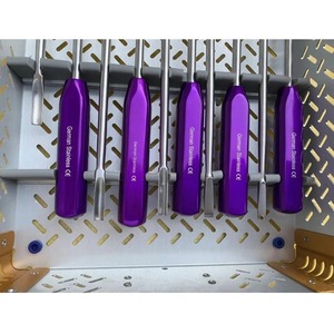 Instrumentos de Primera Calidad para la Extracción de Cemento, Elevador Femoral, Juego de Extracción de Cemento, Herramientas Quirúrgicas Ortopédicas de Acero Inoxidable, CE ISO - Product Image 3