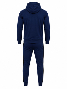 Conjunto Deportivo Ligero Unisex Azul Sólido con Capucha y Estampado 2 en 1, Pantalones Cargo con Cierre de Cordón y Manga Larga, Ropa Casual de Otoño - Product Image 3