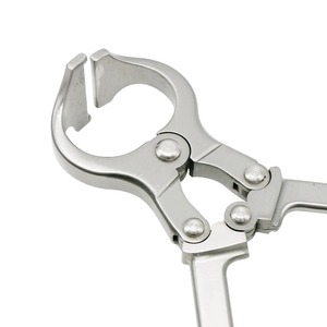 Pince de Castration Sans Sang en Acier Inoxydable 18 mm pour Bétail, Porcs, Bovins, Ovins – Outil Vétérinaire, Forceps de Castration, Équipement d'Élevage - Product Image 3