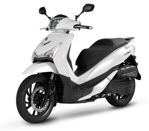 ลูกกลิ้งถ่วงน้ำหนัก SYM OEM Bando สำหรับ Cruisym Joymax Z 250/300, HD 300, Citycom S 300, ATV QuadLander, 22121-RB1-000-A, 22121-RB1-001-A - Product Image 5