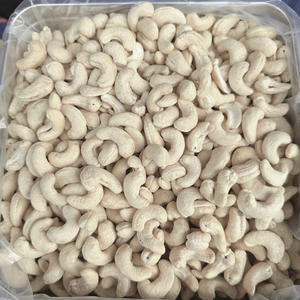 Manufacturing Packaging Box Ww320 Ww240 Cashew <b>Nut</b> <b>Kernels</b> Santigo Cashew Vietnam Wholesale Exported To Asia, Eu, Middle East - Product Image 4