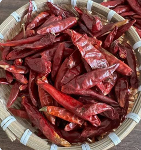Piments séchés du Vietnam en gros, livraison rapide - Product Image 6