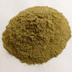 Polvo de Passiflora Incarnata de Calidad Premium, Extracto Herbal Natural para Suplementos de Bienestar y Suministro a Granel para Exportación - Product Image 1