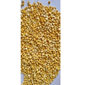 Lentejas Chana Dal Orgánicas, Limpias, Altas en Proteínas, para Cocinar y Procesar Alimentos, Paquete a Granel de 50 kg - Product Image 2