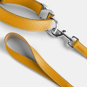 Superior Selling Adjustable Buckle Design Made Pet Control <b>Dogs</b> Leather Collar Customized Brand Logo Print Leathers Collars - Product Image 4