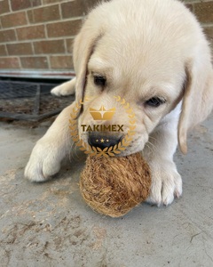 Custom Dog Chew <b>Toy</b> // Natural Safe Dog Chew Coconut Ball Chew for Dogs Coco Fiber Ball 100% Natural Good Chewing Habits - Product Image 5