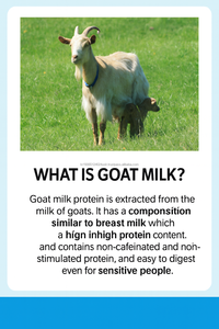 Korea OEM Adult Unisex Pure Goat Milk <b>Protein</b> Powder 400g Natural Improve Immunity Nutrition Supply 24-Month Shelf Life Take 10g - Product Image 3