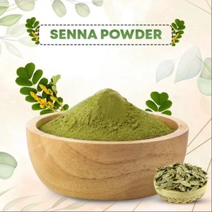 Polvo de Hoja de Senna Seca al por Mayor para la Salud de la Piel y el Cabello, Rico en Proteínas, Disponible en Envases a Granel - Product Image 1
