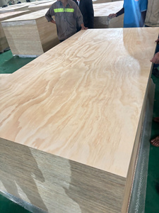 Eco-Friendly Indoor 4x8ft First-Class Pine Plywood 9-18mm E0 Certified Water Resistant Polished Surface Modern <b>Kitchen</b> Bathroom - Product Image 1