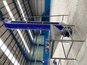 TTQ Durable <b>Plastic</b> Automatic <b>Bucket</b> Conveyor for Agricultural Processing Line 380V/220V Compatibility 5000kg Capacity - Product Image 5
