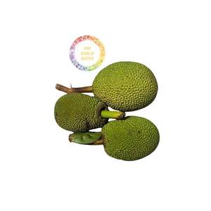 MEILLEUR PRIX JACKFRUIT CONGELÉ - VIETNAM - PROCESSION DE CONGÉLATION LQF - VENTE EN GROS - EMBALLAGE SOUS VIDE - QUALITÉ PREMIUM - Product Image 6