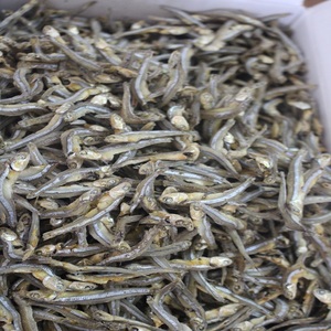 Anchoas Secas de Alta Calidad, Grado Premium, Cumplen con el Estándar de Exportación, 100% Pescado Seco, con Congelación IQF y Empaque a Granel - Product Image 2