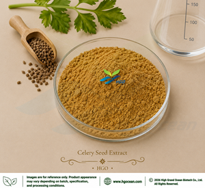 Suministro Directo de Fábrica HGO, Extracto de Semilla de Apio (Apium graveolens L.) (Grado Alimenticio), Extracto en Proporción 4:1 5:1 10:1 20:1 100:1 200:1 - Product Image 1