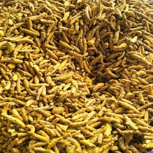 Extracto de Curcuma Longa en Polvo de Alta Calidad/ Extracto de Cúrcuma Orgánica en Polvo 100% 95% Curcumina en Polvo - Product Image 1