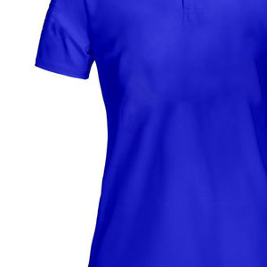 Polo élégant de haute qualité SGRho Sorority pour femmes, bleu royal et or, vêtements grecs, polo en coton premium à manches longues - Product Image 3