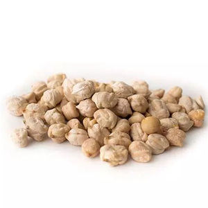 Garbanzos Kabuli Orgánicos Sin GMO a Granel para Venta al Por Mayor - Product Image 3