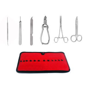Surgical beauty instruments set for manicure and pedicure reusable stainless steel surgical manicure pedicure sets supplier - Product Image 1