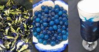 Meilleure vente fleur de pois papillon séchée/vacances