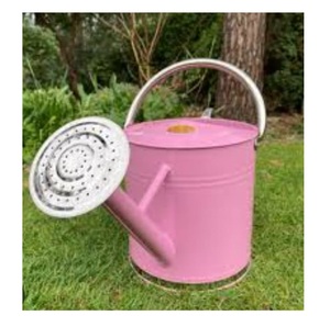 Luxury Unique Design for Watering <b>Garden</b> and Plant Ware Iron Metal Water Can Home Hotel Restaurant <b>Garden</b> Used Water Can - Product Image 4