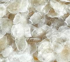 เกล็ดปลาแห้งแบบขายส่ง ทำความสะอาดแล้ว ตากแดดแห้ง จากเวียดนาม - Product Image 3