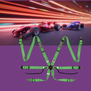 ผู้ผลิตเข็มขัดนิรภัย TBRACING Sport Plus ได้รับการรับรองมาตรฐาน FIA สำหรับการแข่งรถ  รับผลิตแบบ OEM ODM  จำหน่ายส่งสำหรับทีมมอเตอร์สปอร์ต - Product Image 1
