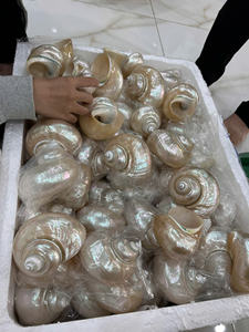 Servilleteros de algas marinas de alta calidad, decoración de mesa rústica tejida a mano para Banquete de boda, proveedor al por mayor de Vietnam - Product Image 2