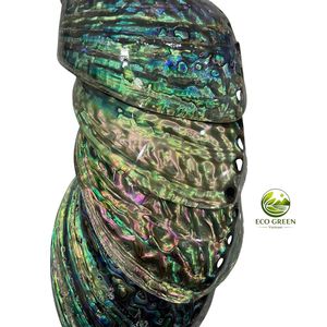 Vietnam Export Polished <b>Abalone</b> <b>Shell</b> Shiny Seashell for Handicraft Jewelry Making Home Decoration Premium Quality - Product Image 1