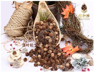 Pignons de pin séchés naturels pour décorations de Noël, artisanat DIY, fabrication de couronnes, vente en gros - Product Image 4