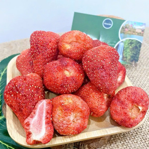 สตรอว์เบอร์รีอบแห้งแบบแช่แข็งขายส่ง บรรจุภัณฑ์สำหรับส่งออก 1 กก./กล่อง ได้รับการรับรองมาตรฐาน HACCP จัดหาได้ปริมาณมาก - Product Image 1