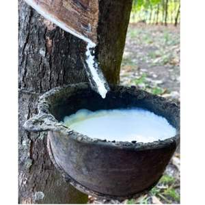 High Quality <b>Latex</b> Rubber Products Latest Prices on Natural Rubber with Custom Packaging Solutions - Product Image 1