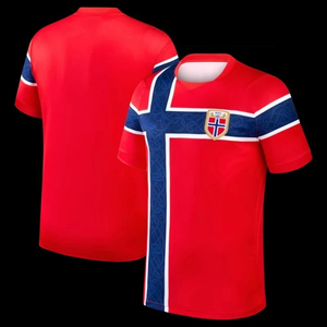เสื้อฟุตบอลคุณภาพพรีเมียมแบบใหม่สำหรับขายส่ง ระบายอากาศได้ดี พร้อมโลโก้ด้านหน้า ปักชื่อและหมายเลขส่วนตัว-ชุดฟุตบอลที่สมบูรณ์แบบ - Product Image 1