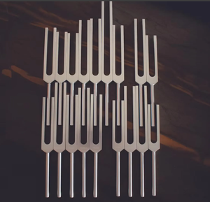 ENERGÍA INFINITA ®   Diapasones Profesionales Meridan para Órganos y Glándulas - Juego de 18 Piezas - Product Image 1