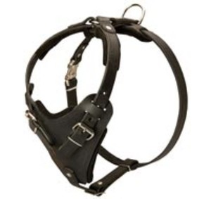 Arnés de cuero pequeño con hebilla para perro, ajustable, sólido y cómodo, con correa tipo chaleco y remaches metálicos decorativos para entrenamiento y paseo. - Product Image 4