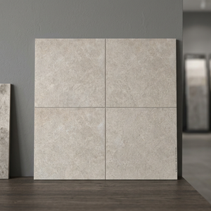 Marocain 600x600x20 Carreaux de céramique rustiques à l'aspect béton: OEM, abordable, idéal pour les jardins extérieurs, matériau en porcelaine - Product Image 1