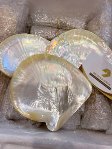 PLAQUE DE COQUILLES MULTICOLORES ÉTINCELANTES EFFET ARC-EN-CIEL |   Gloss nacré rose, noir et jaune |   TRÉSOR 100% NATUREL - Product Image 3