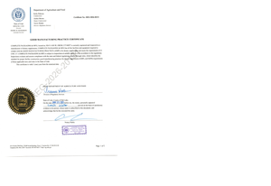 Venta Exclusiva, Una Solución, Origen Estadounidense, Certificado GMP, Suplemento Multicolágeno de Alta Calidad para Mujeres Embarazadas - Product Image 6