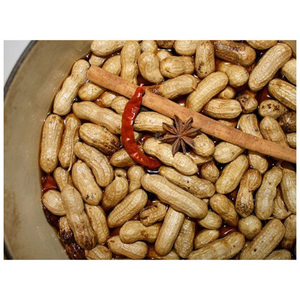 Cacahuetes con Piel Roja / Granos de Cacahuete Blanqueados / Cacahuetes Tostados y Salados con Piel Roja - Product Image 2