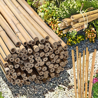 Vente en gros Poteau en bambou naturel écologique solide Support pour plantes de jardin Origine du Vietnam Taille personnalisée Durée de conservation de 2 ans