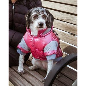 Chaqueta de Esquí Deportiva Vintage para Mascotas Aspen, Ropa Elegante para Mascotas - Product Image 6