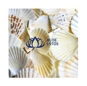 Conchas de Vieira Redondas Naturales Ecológicas Blue Lotus, Conchas Blancas para Manualidades y Decoración del Hogar - Product Image 1
