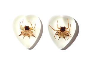 Spiny <b>Spider</b> Real Specimen <b>Plastic</b> Cabochon Heart 17x21 mm Glow Flat Bottom for Crafts and Jewelry Making - Product Image 6