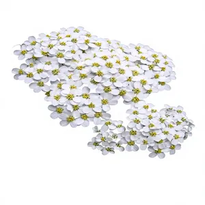 ISO Certified Yarrow Essential Oil 2 KG Natural Steam Distilled Floral Oil - For Skincare & Personal Care Products Formulations - Product Image 1