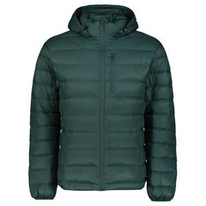 Blouson d'hiver décontracté pour homme, vert, à capuche, en duvet, coupe-vent, coupe droite, fermeture éclair, couleur unie, extérieur en polyester 2026 - Product Image 5