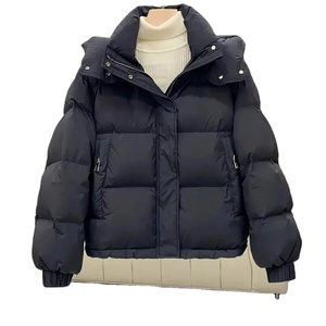 Nouvelle veste d'hiver pour femmes, manteau décontracté en duvet, surdimensionné, à capuche, en coton doux et chaud, doudoune pour la neige - Product Image 6