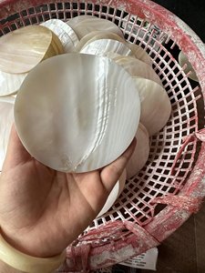 Vietnam usine poli nacre incrustation blancs coquilles 50mm x 12mm x 1.5mm épaisseur pour bijoux artisanat naturel cadeau de plage - Product Image 4