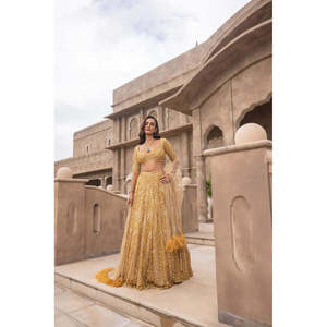 ชุดสตรีออกแบบสวยงามงาน dori lehenga choli - Product Image 6